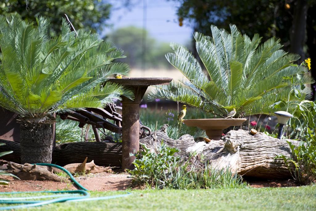 Vila Boschfontein Guest Farm Thabazimbi Exteriér fotografie